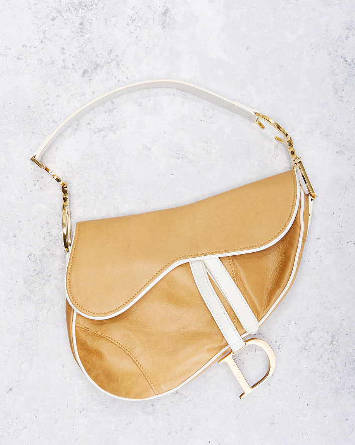 Dior Saddle Bag