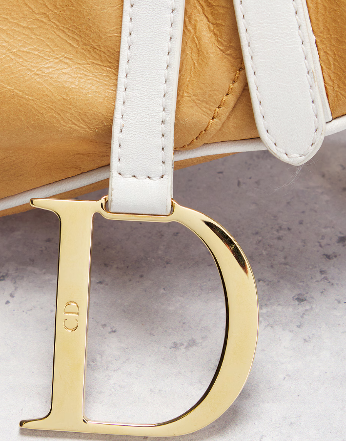 Dior Saddle Bag